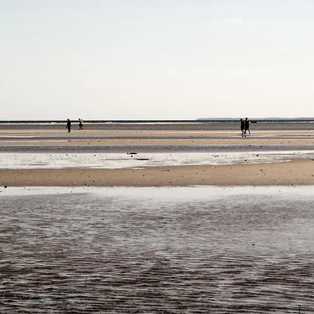 Bogfinkevej Orsted Xi